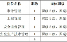 2024国家电投西藏公司招聘公告