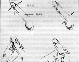 男人用什么方法可以延时？用于延时的动停挤压法，自己一个人有可以做
