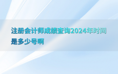注册会计师成绩查询2024年时间是多少号啊