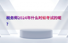 税务师2024年什么时候考试的呢?
