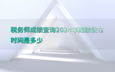 税务师成绩查询2024年成绩公布时间是多少