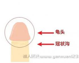 印度神油用法怎么用？印度神油具体喷哪个部位？