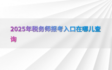 2025年税务师报考入口在哪儿查询