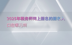2025年税务师网上报名的报名入口在哪儿啊