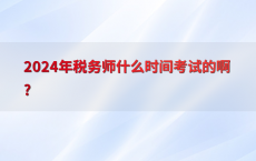 2024年税务师什么时间考试的啊?