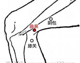 曲泉穴的功效与作用是什么？按曲泉穴真的可以提高男性功能吗？