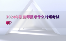 2024年税务师报考什么时候考试啊?