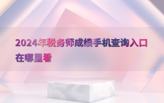 2024年税务师成绩手机查询入口在哪里看