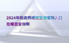 2024年税务师成绩查询官网入口在哪里查询啊