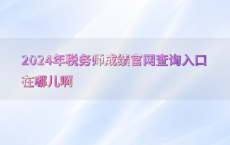 2024年税务师成绩官网查询入口在哪儿啊