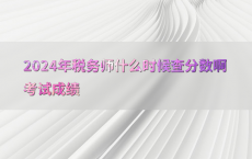 2024年税务师什么时候查分数啊考试成绩