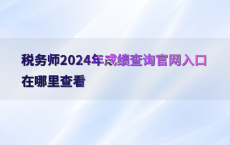 税务师2024年成绩查询官网入口在哪里查看