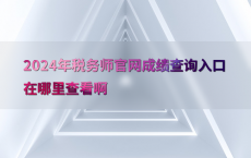 2024年税务师官网成绩查询入口在哪里查看啊