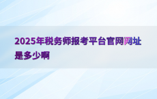 2025年税务师报考平台官网网址是多少啊