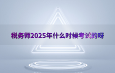 税务师2025年什么时候考试的呀