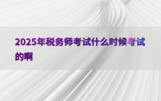 2025年税务师考试什么时候考试的啊