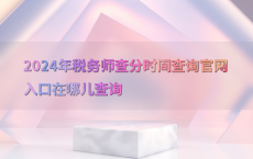 2024年税务师查分时间查询官网入口在哪儿查询