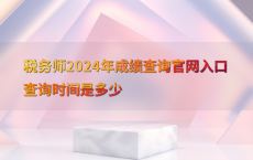 税务师2024年成绩查询官网入口查询时间是多少