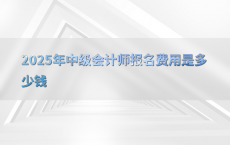 2025年中级会计师报名费用是多少钱