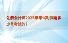 注册会计师2025年考试时间是多少号考试的?