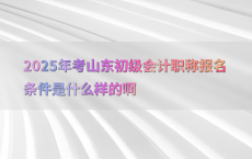 2025年考山东初级会计职称报名条件是什么样的啊