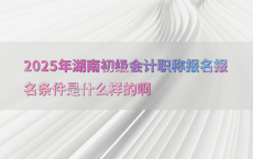 2025年湖南初级会计职称报名报名条件是什么样的啊
