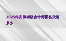 2025年安徽初级会计师报名费用多少