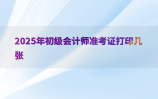 2025年初级会计师准考证打印几张