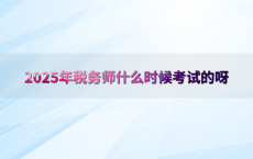 2025年税务师什么时候考试的呀