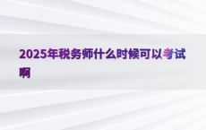 2025年税务师什么时候可以考试啊