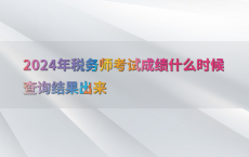 2024年税务师考试成绩什么时候查询结果出来