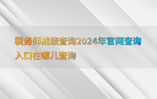 税务师成绩查询2024年官网查询入口在哪儿查询
