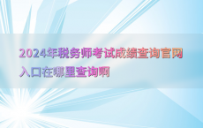 2024年税务师考试成绩查询官网入口在哪里查询啊