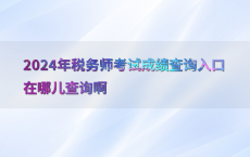 2024年税务师考试成绩查询入口在哪儿查询啊