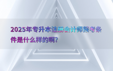 2025年专升本注册会计师报考条件是什么样的啊?