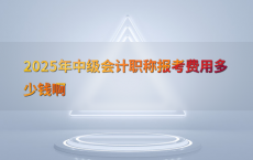 2025年中级会计职称报考费用多少钱啊