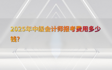 2025年中级会计师报考费用多少钱?