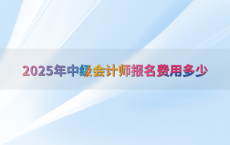 2025年中级会计师报名费用多少