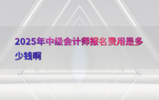 2025年中级会计师报名费用是多少钱啊