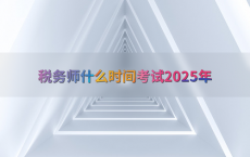 税务师什么时间考试2025年