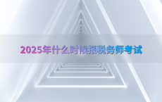 2025年什么时候报税务师考试