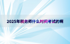 2025年税务师什么时间考试的啊