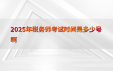 2025年税务师考试时间是多少号啊