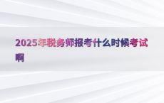2025年税务师报考什么时候考试啊