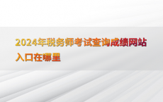2024年税务师考试查询成绩网站入口在哪里
