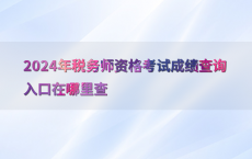 2024年税务师资格考试成绩查询入口在哪里查