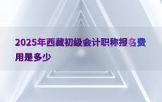 2025年西藏初级会计职称报名费用是多少