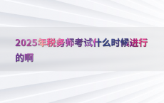 2025年税务师考试什么时候进行的啊