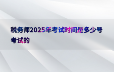 税务师2025年考试时间是多少号考试的