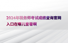 2024年税务师考试成绩查询官网入口在哪儿查看啊